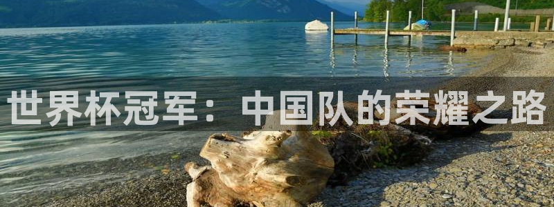 世界杯第一场比赛:世界杯冠军:中国队的荣耀之路