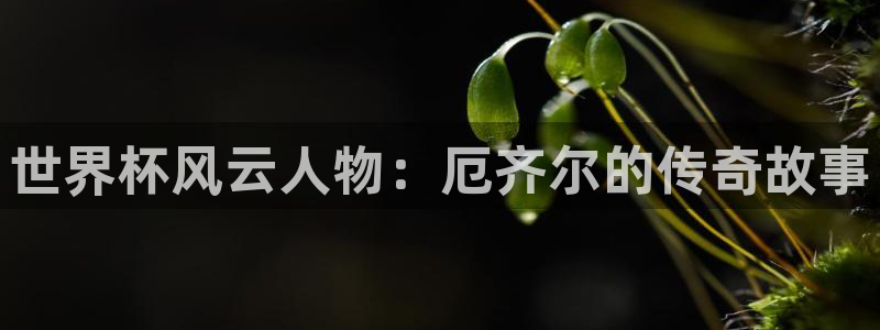 世界杯预选赛欧洲赛区积分榜：世界杯风云人物：厄齐尔的传奇故事