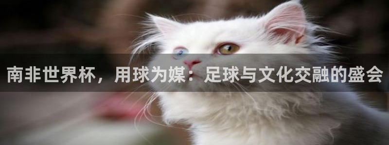 澳门世界杯直播:南非世界杯,用球为媒:足球与文化交融的盛会