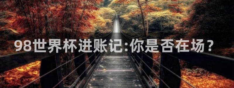 世界杯亚洲区预选赛：98世界杯进账记:你是否在场？