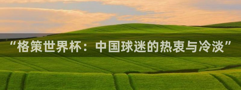 今年的世界杯：“格策世界杯：中国球迷的热衷与冷淡”