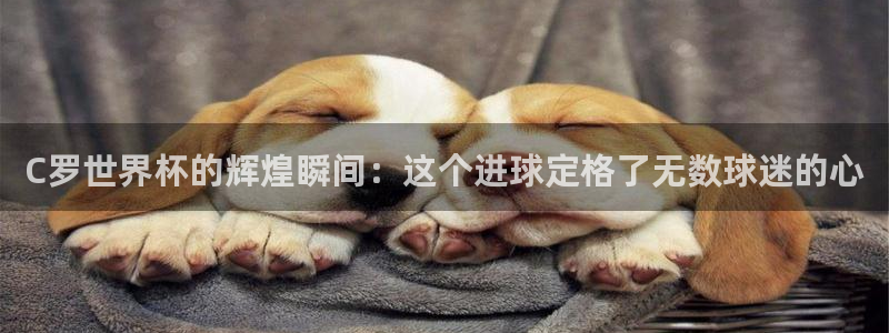 2026世界杯南美区积分榜:C罗世界杯的辉煌瞬间:这个进球定格了无数球迷的心