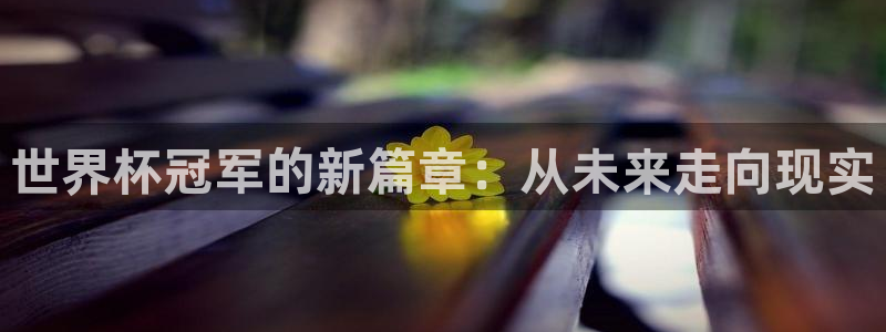 2006世界杯：世界杯冠军的新篇章：从未来走向现实