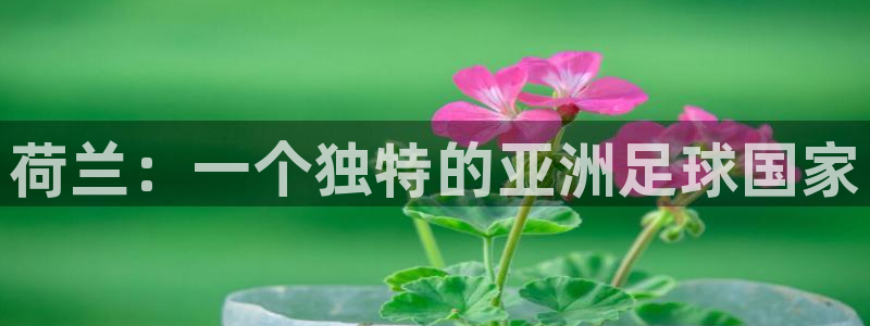 欧洲世预赛赛程表：荷兰：一个独特的亚洲足球国家