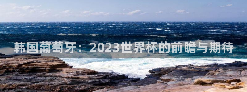 世界杯决赛直播：韩国葡萄牙：2023世界杯的前瞻与期待
