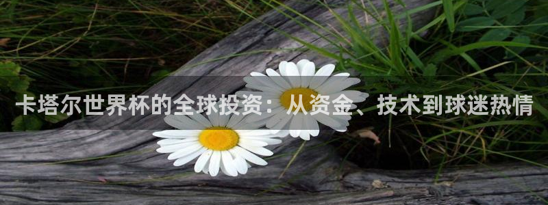 2026世界杯德国队阵容：卡塔尔世界杯的全球投资：从资金、技术到球迷热情