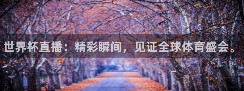 女足世界杯直播在线观看免费高清：世界杯直播：精彩瞬间，见证全球体育盛会。