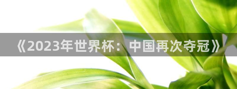 世界杯亚洲区预选赛：《2023年世界杯：中国再次夺冠》
