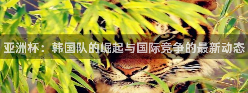 世界杯预选赛欧洲赛区赛程：亚洲杯：韩国队的崛起与国际竞争的最新动态