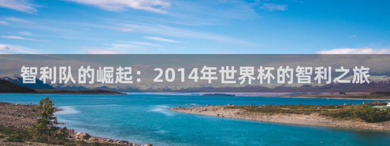 免费看足球直播比赛：智利队的崛起：2014年世界杯的智利之旅