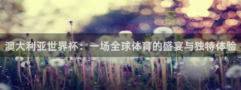 足球世界杯时间：澳大利亚世界杯：一场全球体育的盛宴与独特体验