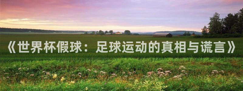 世界杯亚洲区预选赛：《世界杯假球：足球运动的真相与谎言》