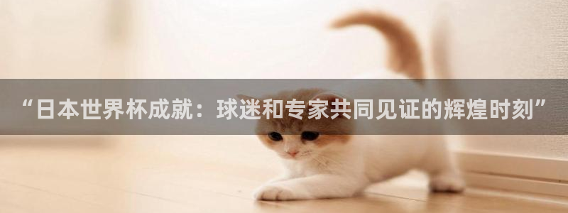 世界杯 赛程：“日本世界杯成就：球迷和专家共同见证的辉煌时刻”