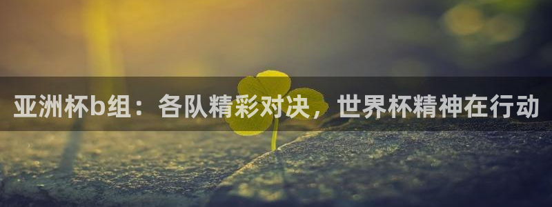 世界杯亚洲区预选赛赛程:亚洲杯b组:各队精彩对决,世界杯精神在行动